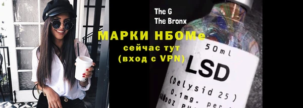 стафф Алексин