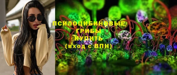 стафф Алексин