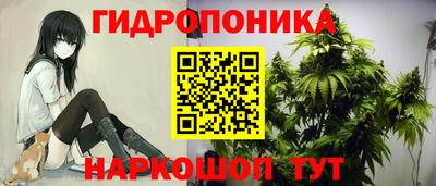 прущие грибы Ярцево