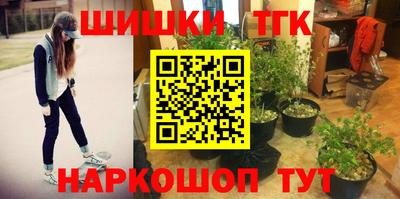 прущие грибы Ярцево