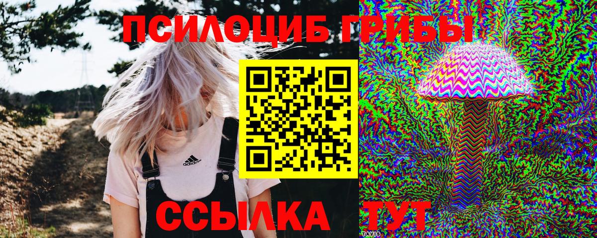 Галлюциногенные грибы MAGIC MUSHROOMS  Вход с VPN  Псилоцибиновые грибы мухоморы  Белореченск 