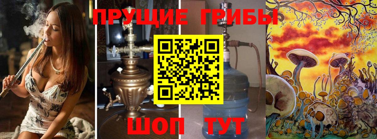Псилоцибиновые грибы мицелий Белореченск